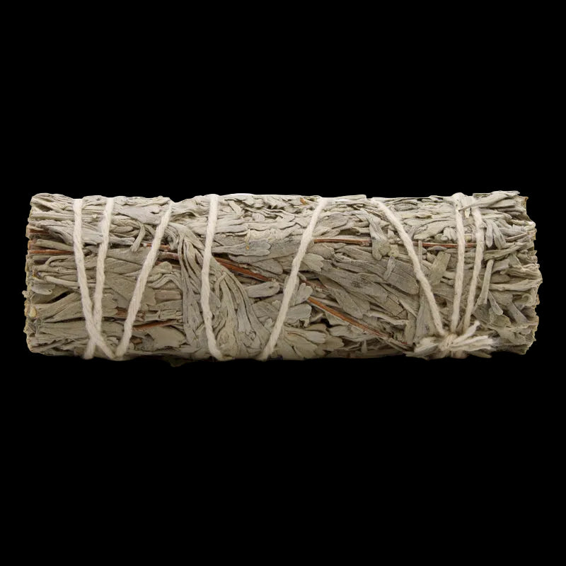 Blue Sage 10cm