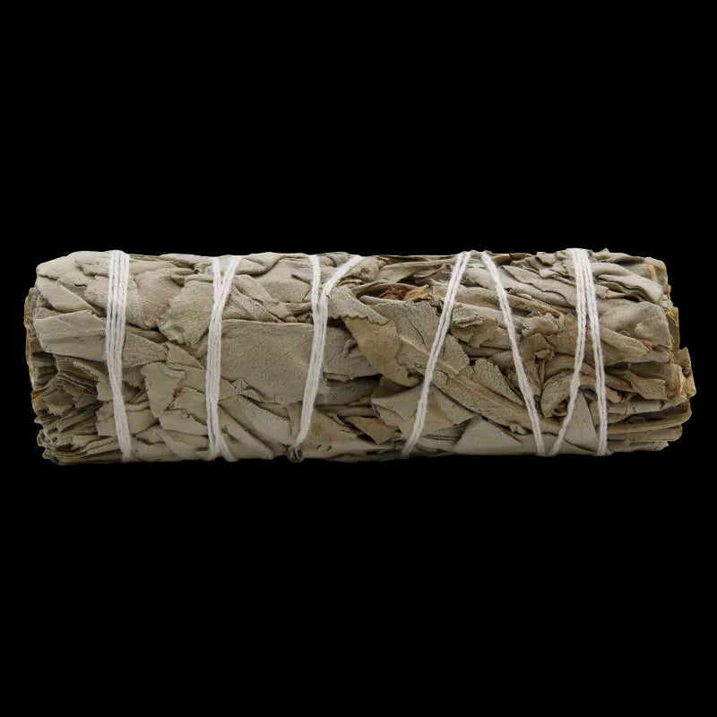 White Sage 10cm